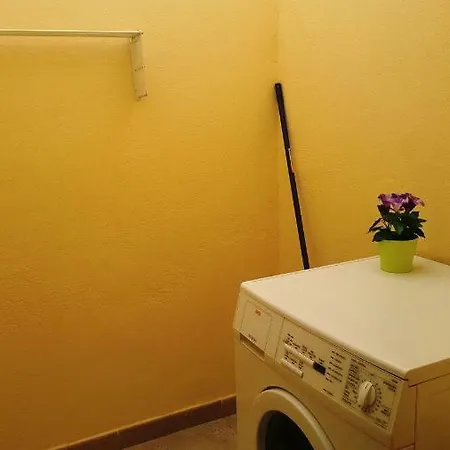Oasis Verde 4