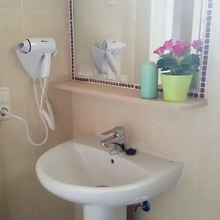 Oasis Verde 4