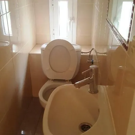 Oasis Verde 4